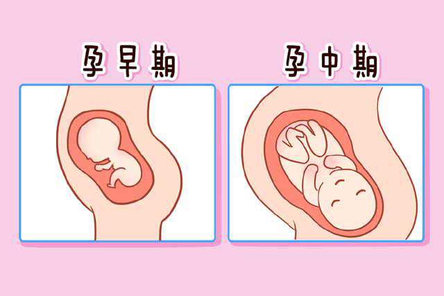 谁有2024年上海第九医院试管婴儿花费明细表？求分享！
