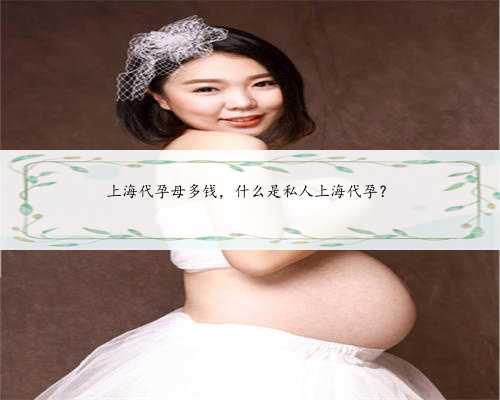 上海代孕母多钱，什么是私人上海代孕？