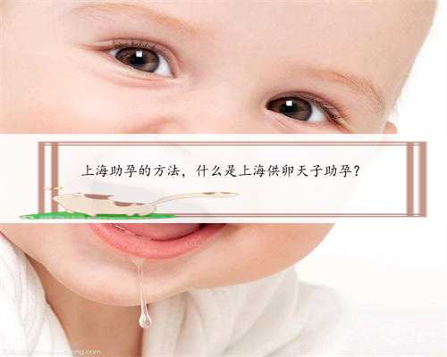 上海助孕的方法，什么是上海供卵天子助孕？