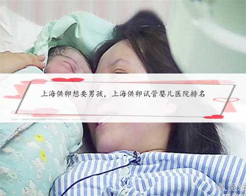上海供卵想要男孩，上海供卵试管婴儿医院排名
