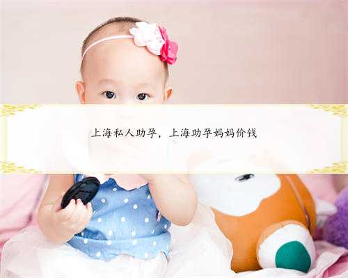 上海私人助孕，上海助孕妈妈价钱