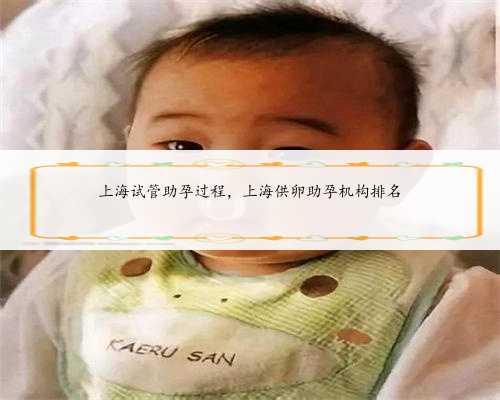 <b>上海试管助孕过程，上海供卵助孕机构排名</b>