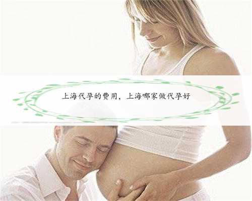 上海代孕的费用，上海哪家做代孕好