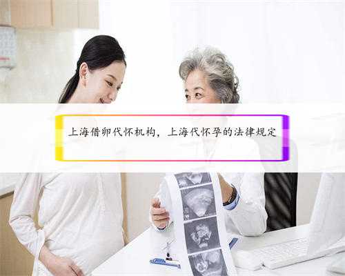 上海借卵代怀机构，上海代怀孕的法律规定